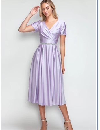 Dahlia Pleated Wrap Short-Sleeve Tea Dress - Image 6