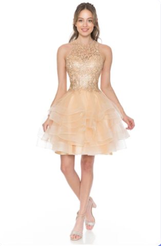 Adriana Embellished Halter Tiered Tulle Mini