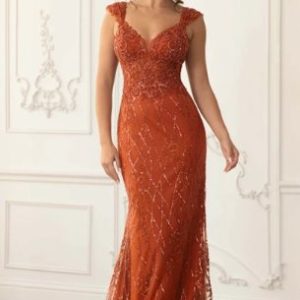 The Scarlett Embroidered Dress