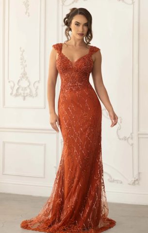 The Scarlett Embroidered Dress